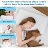 Orthopedic Deep Sleep Pillow