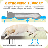 Egg-Create Orthopedic Pet Bed