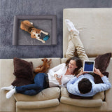 Orthopedic Pet  Sofa Bed