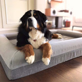 Orthopedic Pet  Sofa Bed