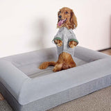 Orthopedic Pet  Sofa Bed